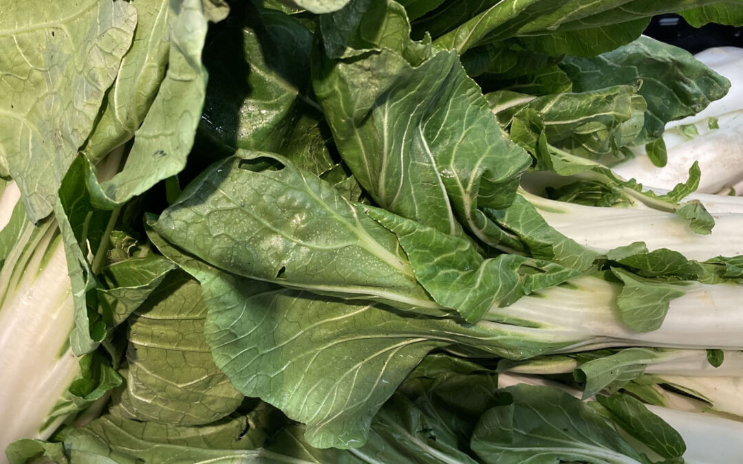 Pak Choi, Tatsoi und Chinakohl – asiatische Blattgemüse