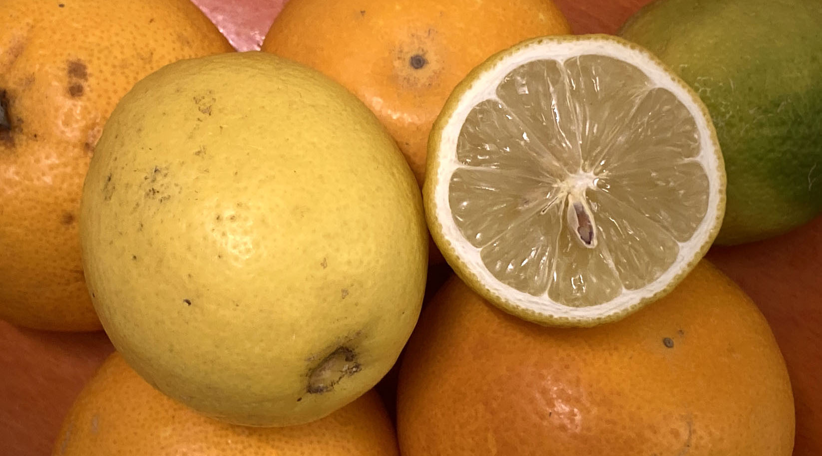 Zitronen und Orangen, eine Zitrone angeschnitten