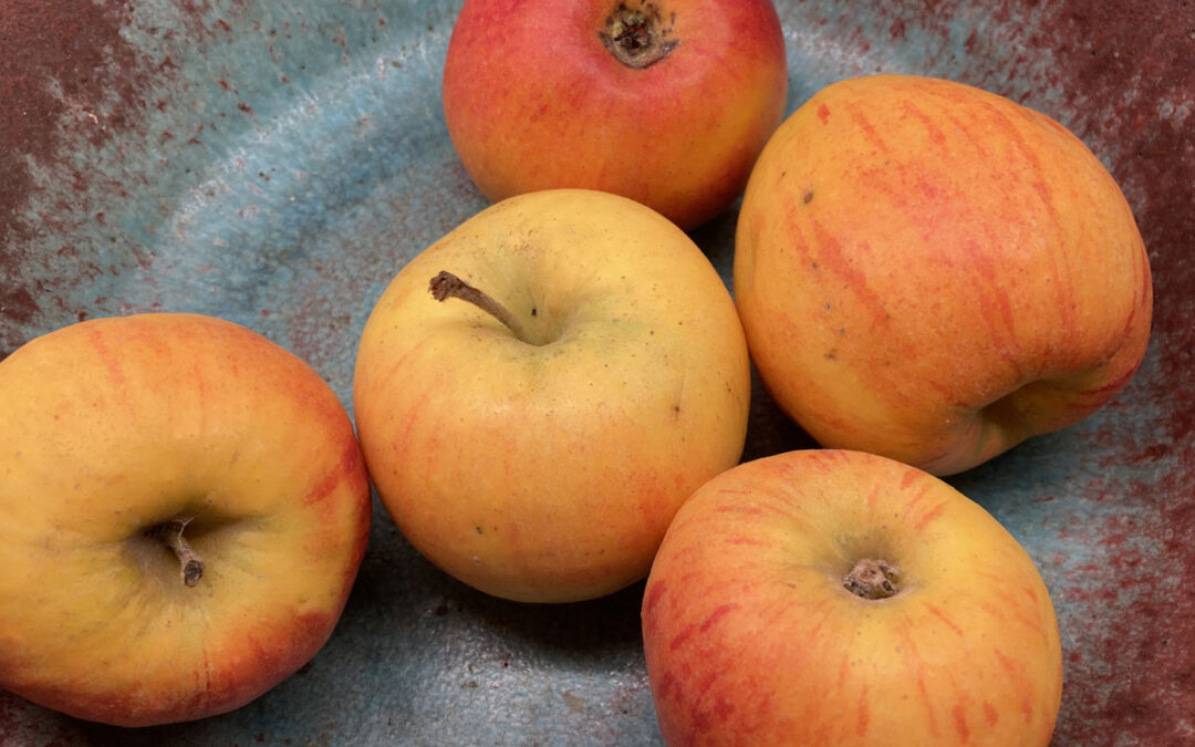ZeroWaste #4: Apfelreste verwerten